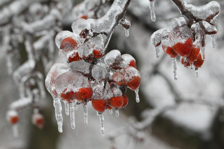 Тези природни аномалии, могат да се случат само когато е замръзващо студено! Шокиращи кадри! 7