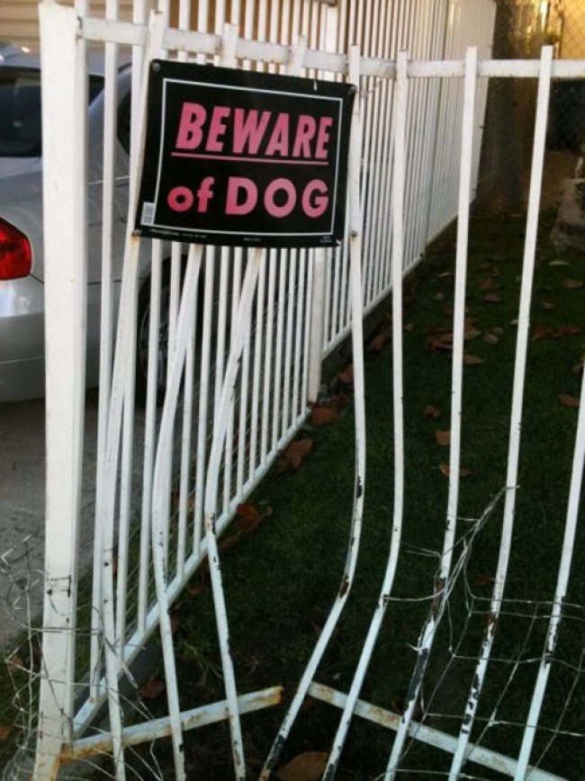 Това се случва, когато решиш да прескочиш ограда, на която има табелка "Пазете се от кучето" ! 5