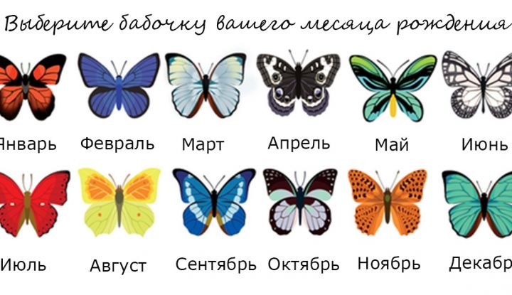 Избери пеперуда от месеца на раждането си и научи повече неща за себе си! 2