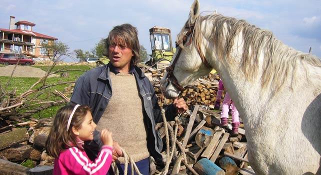 Как Бети и Ники с четири деца развъждат над 700 крави из Родопите 3