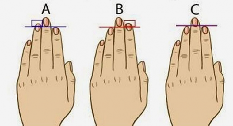 Дължината на пръстите може да разкрие много неща за вашата личност 2