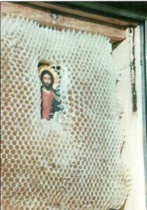 Eдин мъж решава да постави икона в кошер с пчели за късмет, а когато по-късно отворил да провери? Останал изумен! 8