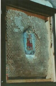 Eдин мъж решава да постави икона в кошер с пчели за късмет, а когато по-късно отворил да провери? Останал изумен! 7