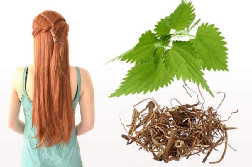 Чай за бърз растеж на косата - спасение за тънка и рядка коса, която пада: 1
