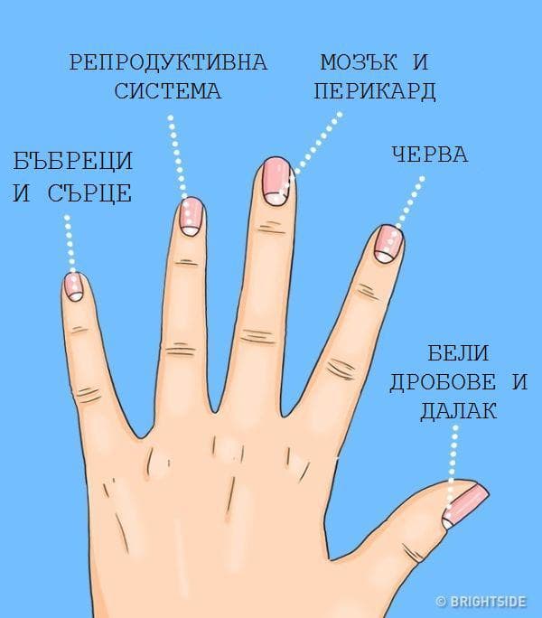 Полумесецът на ноктите разкрива здравословното ни състояние 1