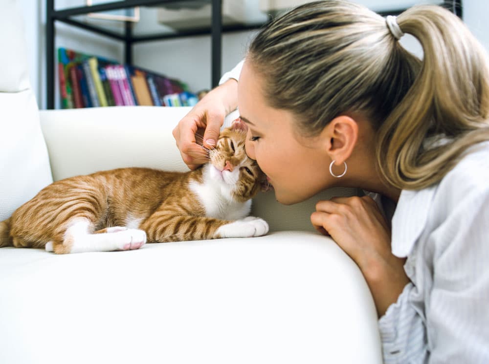 Невидимите сигнали на котката, че в дома ви цари щастие или ви грози опасност: 2