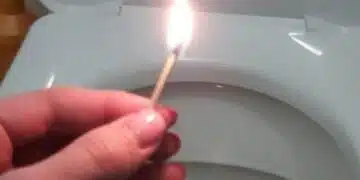 Лесно бързо! Направете си домашни освежители за тоалетна само за минути. Край на миризмите 1