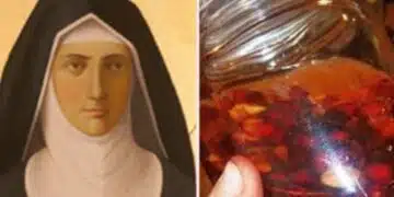 Вековна рецепта за сърдечна болка, шум в ушите, подобрява паметта 2