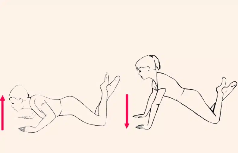 Метод доктора Шишонина: 9 эффективных упражнений для шеи и спины 4 Метод доктора Шишонина: 9 эффективных упражнений для шеи и спины 3