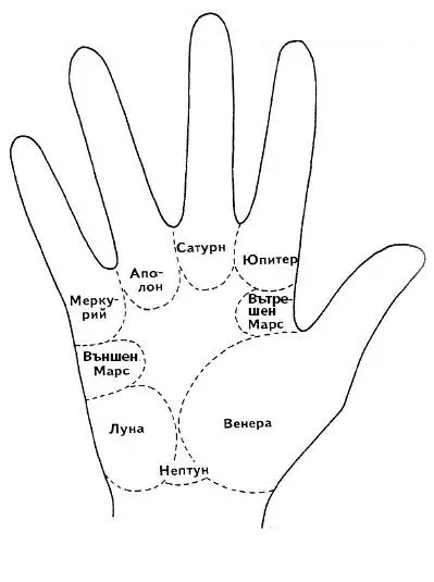СЪДБАТА е поставила БЕЛЕГ на дланта им - жените с този знак на ръката винаги сключват успешни бракове: 1