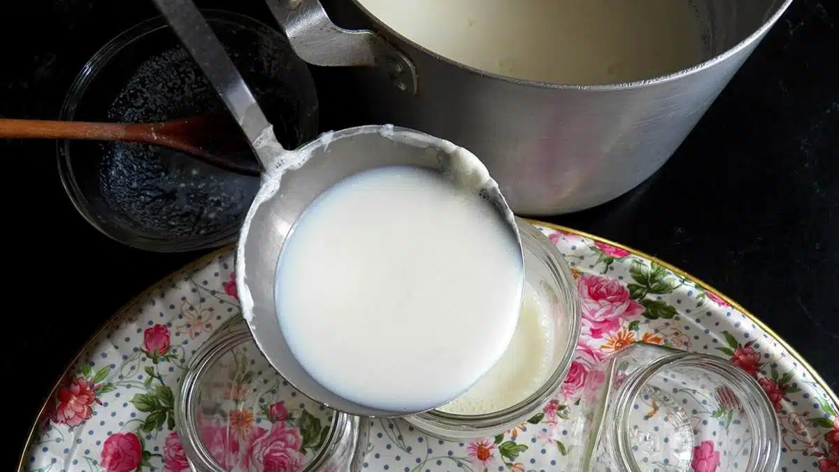 САМО 2 съставки и киселото ми мляко става в пъти по-вкусно и гъсто от купешкото! Кеф да ти е да го хапваш: 2