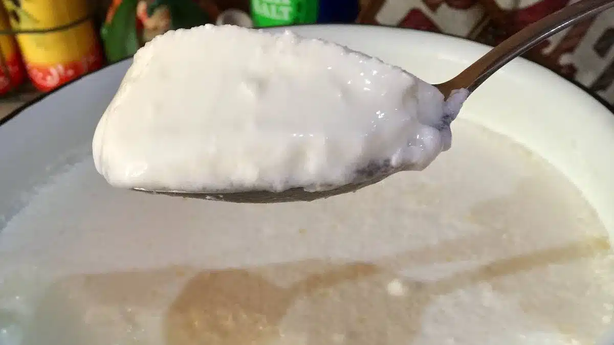 САМО 2 съставки и киселото ми мляко става в пъти по-вкусно и гъсто от купешкото! Кеф да ти е да го хапваш: 4