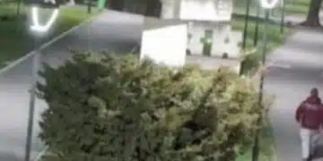 Феноменът Проваления камък привлича хиляди: тайнствената енергия, която променя всичко 1