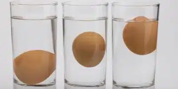 Как да проверите дали яйцата са пресни с помощта на чаша вода 1