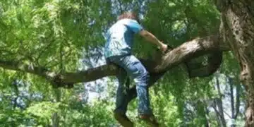 Пет неща, които умните хора правят различно 1