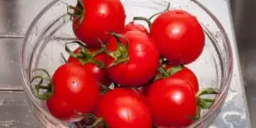 Балансирано хранене - как правилно да съчетавате плодове и зеленчуци 2