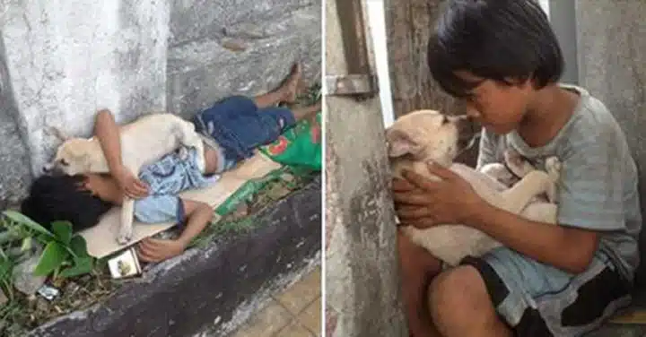 Бездомно момче спасява улично куче без да знае, че то ще му върне услугата по трогателен начин 1