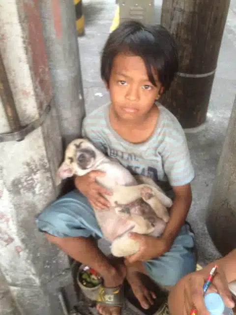Бездомно момче спасява улично куче без да знае, че то ще му върне услугата по трогателен начин 2
