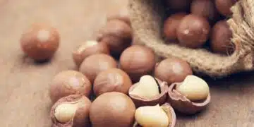 5 вида ядки, за които трябва да знаете всичко 1