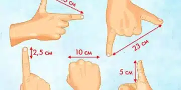Ето как да измерите всичко точно, дори без линийка 1