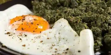 Джуркана коприва с печени гъби и яйца – вкус от старите български рецепти 1