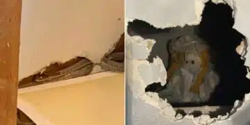 Хора споделиха в мрежата за зловещи и странни находки, които са намерили в дома си 5