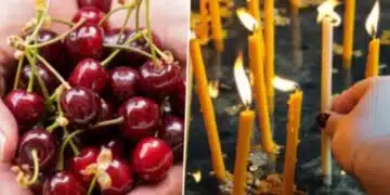 Назована е най-грубата грешка, която се допуска по време на Черешова Задушница, ето какво следва да НЕ се прави с черешите: 2