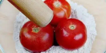 Ако искаш вкусотия, приготви я - вземи 3 домата, 2 чаши брашно и останалото е лесна работа: 2
