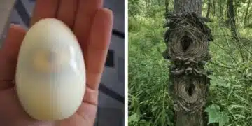 Светът не спира да ни удивлява, а ето и доказателствата за това: 1