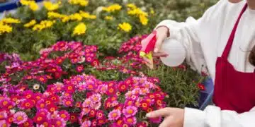 Съвети за градинари: какво можете да посеете в градината си през есента? 7