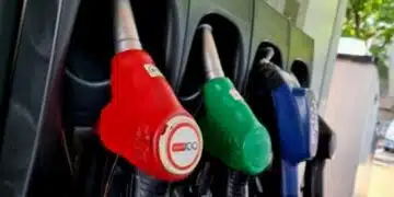 Експерт хвърли светлина на къде ще тръгнат цените при отпадане на дерогацията 4