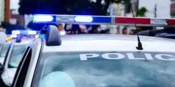 Мащабна акция с кодово име „Армагедон“ разби огромна мрежа за педофили в съседна Сърбия 15