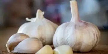Градинарски съвети за успешно засаждане на зимен чесън 5