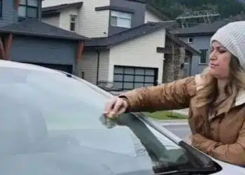 Когато чуеш защо трябва да търкаш предното стъкло на колата с картоф, ще започнеш да го правиш всеки ден (ВИДЕО) 6