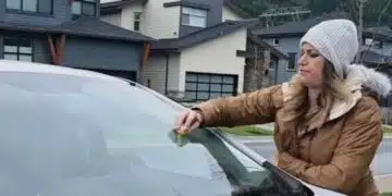 Когато чуеш защо трябва да търкаш предното стъкло на колата с картоф, ще започнеш да го правиш всеки ден (ВИДЕО) 13