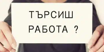 Това са секторите в България, в които има голям недостиг на кадри, търсят се много работници 1