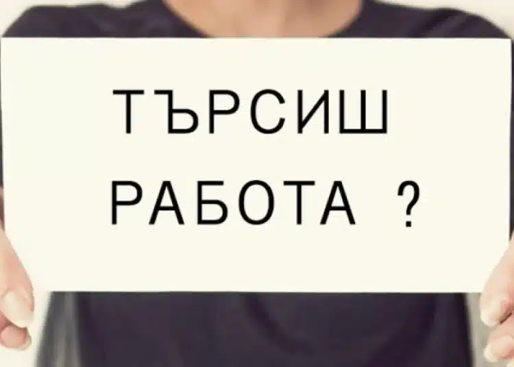 Това са секторите в България, в които има голям недостиг на кадри, търсят се много работници 1