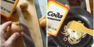 Баба ми каза да пържа лука със сода за хляб - изненадах се, но опитах и разбрах колко по-добре е 11