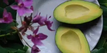 Как да запазим вкусното авокадо за повече време, без да се развали? 3