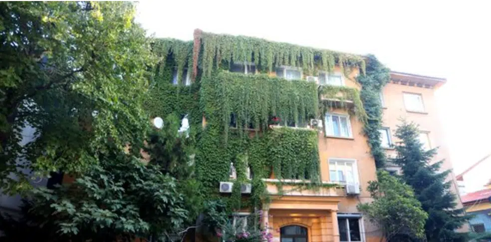 Домът на актьора Владо Пенев е превърнат в италиански замък с помощта на дива лоза СНИМКИ 1