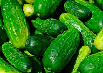 Какво да правим с горчивите краставици? Ето как да ги превърнем във вкусни и здравословни краставици 7