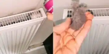 Предстои пускане на парното, нека се подготвим като го почистим внимателно! Гадостите излизат, ако действаме правилно! ВИДЕО 4