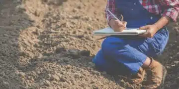 По какъв начин да подхраните Вашата изтощена почва през есенния сезон? 12