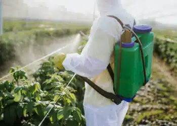 Agricultural worker takes care of his estate