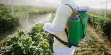 Agricultural worker takes care of his estate