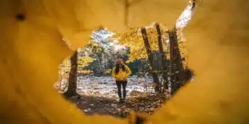 Животът ще се промени към щастие за тези 3 зодии в последните 10 дни от ноември! 13