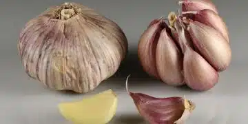 чесън