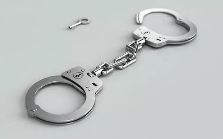 Жена поканила на гости приятели и им сервирала фатален обяд – трима души губят живота си, четвърти оцелява и разказва 1