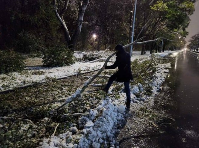Равносметката след съботните снегове наречени още „Снегокалипсис“ – затворени проходи, населени места без ток, стотици паднали дървета СНИМКИ 9