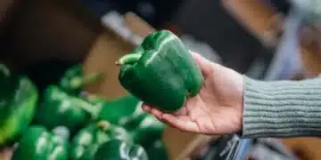 Агроном разкри най-добрият сорт за пълнени чушки и кога да го засеете за голяма реколта 7